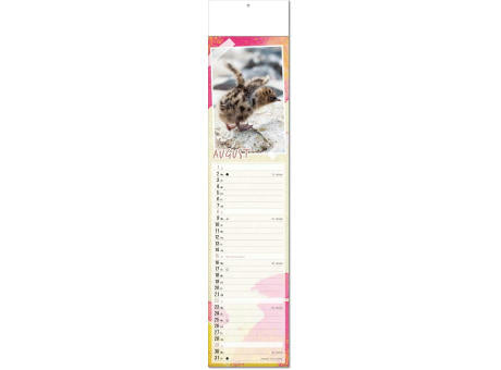 Kalender "Tierbabys" im Format 11 x 50 cm, mit Fälzel