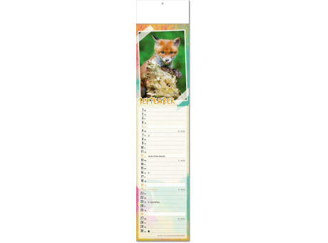 Kalender "Tierbabys" im Format 11 x 50 cm, mit Fälzel