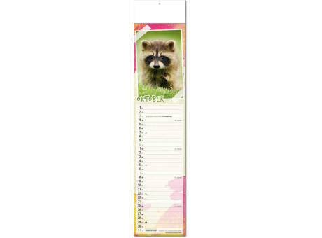 Kalender "Tierbabys" im Format 11 x 50 cm, mit Fälzel