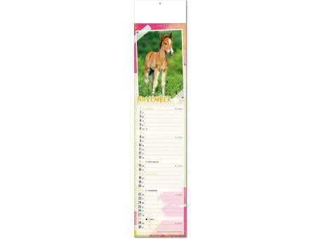 Kalender "Tierbabys" im Format 11 x 50 cm, mit Fälzel