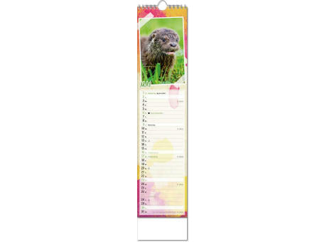 Kalender "Tierbabys" im Format 11 x 51 cm, mit Wire-O-Bindung und verlängerter Rückwand