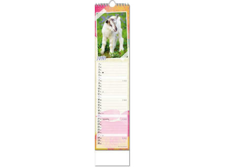 Kalender "Tierbabys" im Format 11 x 51 cm, mit Wire-O-Bindung und verlängerter Rückwand