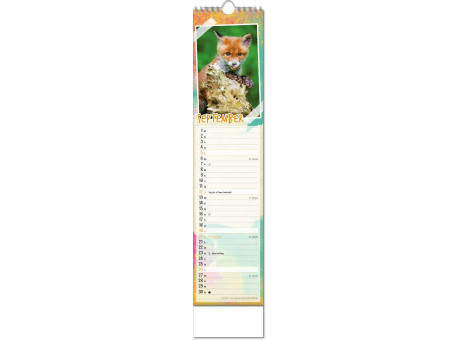 Kalender "Tierbabys" im Format 11 x 51 cm, mit Wire-O-Bindung und verlängerter Rückwand