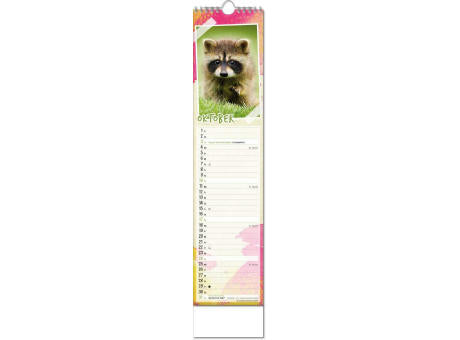 Kalender "Tierbabys" im Format 11 x 51 cm, mit Wire-O-Bindung und verlängerter Rückwand