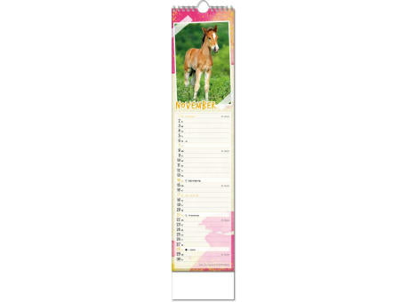 Kalender "Tierbabys" im Format 11 x 51 cm, mit Wire-O-Bindung und verlängerter Rückwand