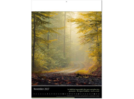 Kalender "Emotion" im Format 30,5 x 42,6 cm, mit Fälzel