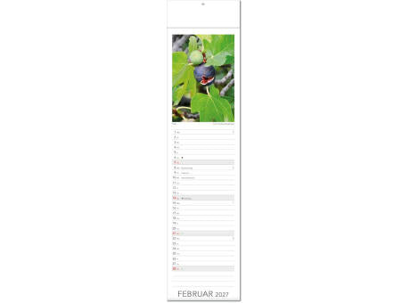 Kalender "Tee & Heiltees" im Format 13 x 53,5 cm, mit Fälzel