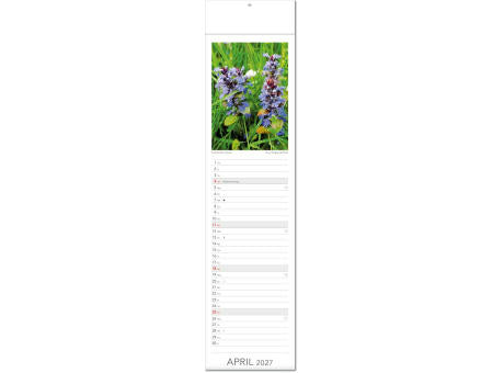 Kalender "Tee & Heiltees" im Format 13 x 53,5 cm, mit Fälzel