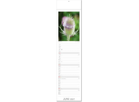 Kalender "Tee & Heiltees" im Format 13 x 53,5 cm, mit Fälzel