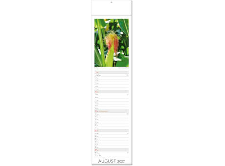 Kalender "Tee & Heiltees" im Format 13 x 53,5 cm, mit Fälzel