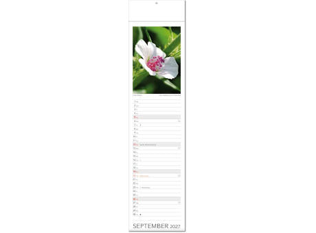 Kalender "Tee & Heiltees" im Format 13 x 53,5 cm, mit Fälzel