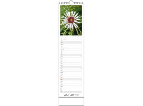 Kalender "Tee & Heiltees" im Format 13 x 52,5 cm, mit Wire-O Bindung und verlängerter Rückwand