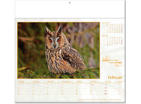 Kalender "Tierwelt" im Format 30 x 28 cm, mit Fälzel