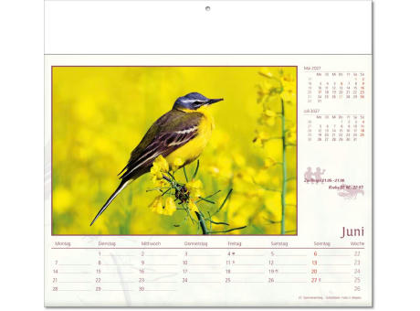Kalender "Tierwelt" im Format 30 x 28 cm, mit Fälzel