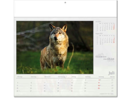 Kalender "Tierwelt" im Format 30 x 28 cm, mit Fälzel