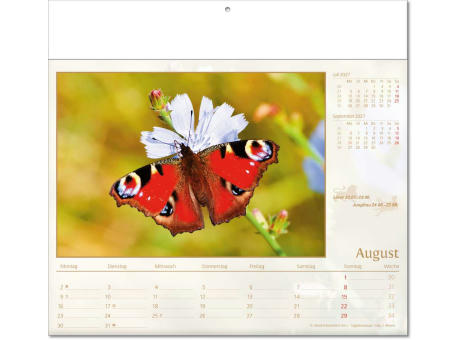 Kalender "Tierwelt" im Format 30 x 28 cm, mit Fälzel