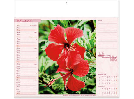 Kalender "Blütenwelt" im Format 30 x 28 cm, mit Fälzel