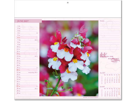 Kalender "Blütenwelt" im Format 30 x 28 cm, mit Fälzel