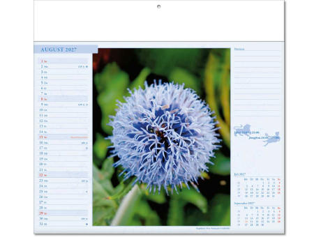 Kalender "Blütenwelt" im Format 30 x 28 cm, mit Fälzel