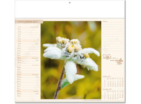 Kalender "Blütenwelt" im Format 30 x 28 cm, mit Fälzel