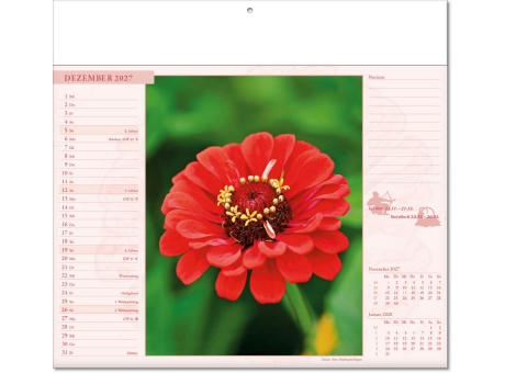 Kalender "Blütenwelt" im Format 30 x 28 cm, mit Fälzel