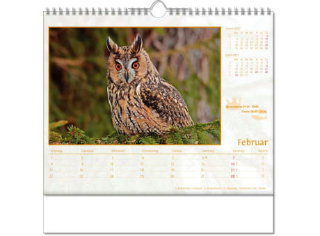 Kalender "Tierwelt" im Format 30 x 29 cm, mit Wire-O-Bindung und verlängerter Rückwand