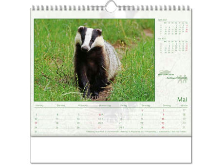 Kalender "Tierwelt" im Format 30 x 29 cm, mit Wire-O-Bindung und verlängerter Rückwand