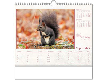 Kalender "Tierwelt" im Format 30 x 29 cm, mit Wire-O-Bindung und verlängerter Rückwand