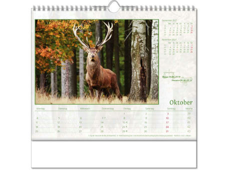 Kalender "Tierwelt" im Format 30 x 29 cm, mit Wire-O-Bindung und verlängerter Rückwand
