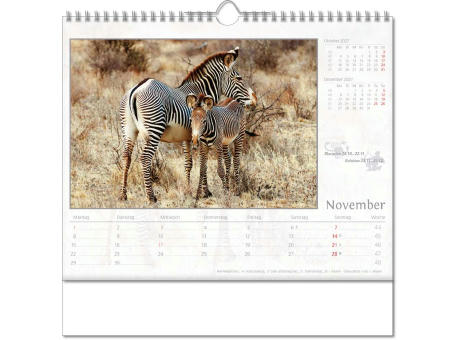 Kalender "Tierwelt" im Format 30 x 29 cm, mit Wire-O-Bindung und verlängerter Rückwand
