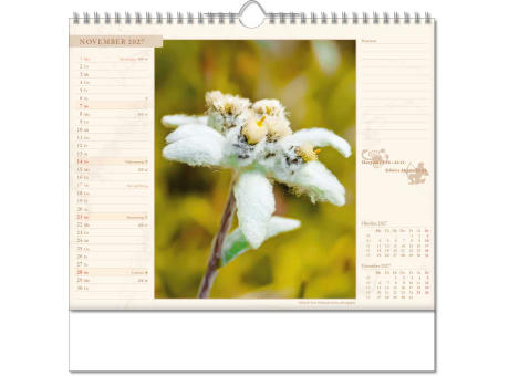 Kalender "Blütenwelt" im Format 30 x 29 cm, mit Wire-O-Bindung und verlängerter Rückwand