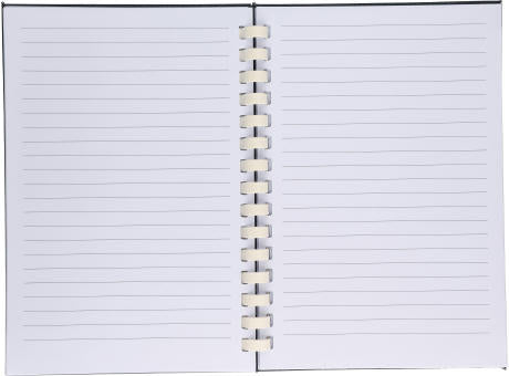 Notizbuch Ilias | Recyceltes PET | A5 | Liniert