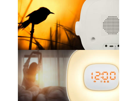 ML-198 | Muse wake up light FM-Radio
