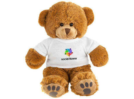 Teddybär mit T-Shirt | Denis