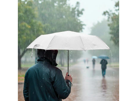 Regenschirm, manuell, faltbar| Bores