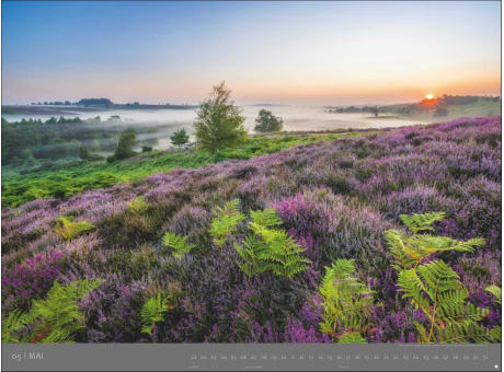 AvH Die letzten Paradiese