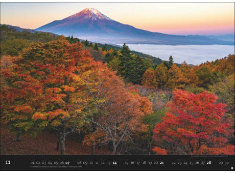 AvH Landscapes Edition