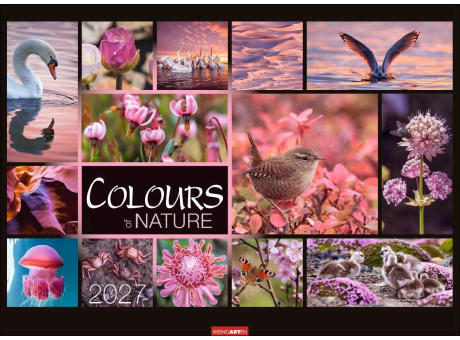 Colours of Nature