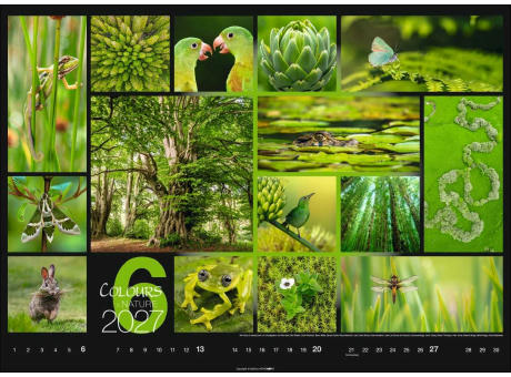 Colours of Nature