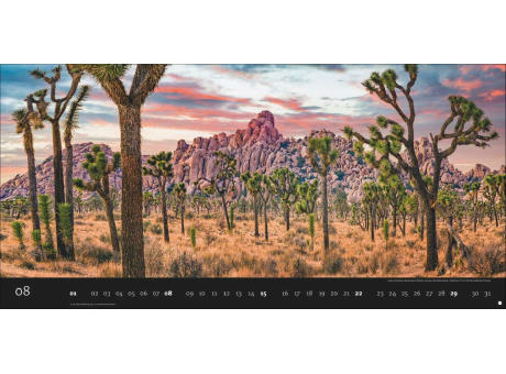 Magic Moments Panorama