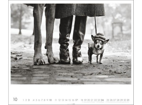 Magnum Photos - Elliott Erwitt