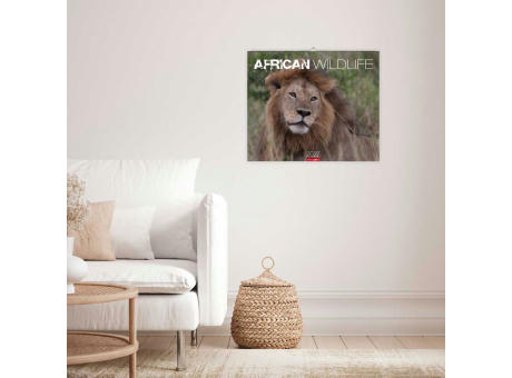 African Wildlife