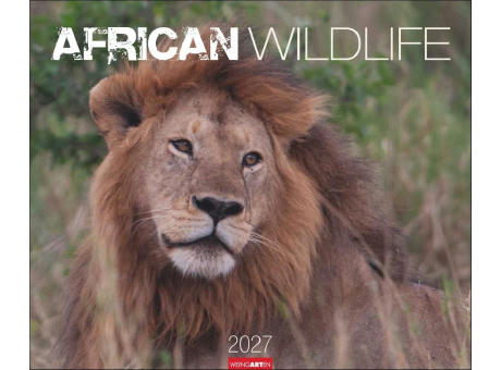 African Wildlife