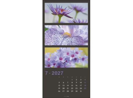 Die Farben der Natur