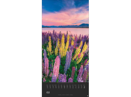 AvH Colourful Nature