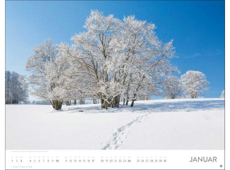Auf Traumpfaden Posterkalender