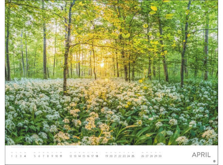 Sonnenzauber Posterkalender