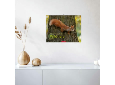Heimische Wildtiere