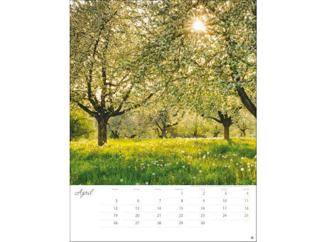 Jenseits der Hast Posterkalender