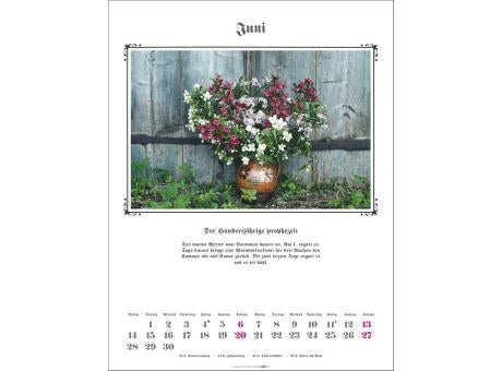Der Hundertjährige Kalender